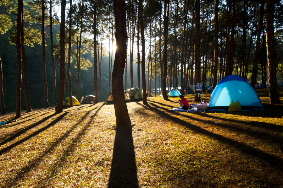 camping spacieux en Dordogne